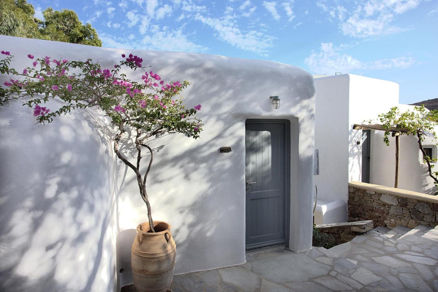 Hotel Albatros Club Mykonos Panormos  Zewnętrze zdjęcie