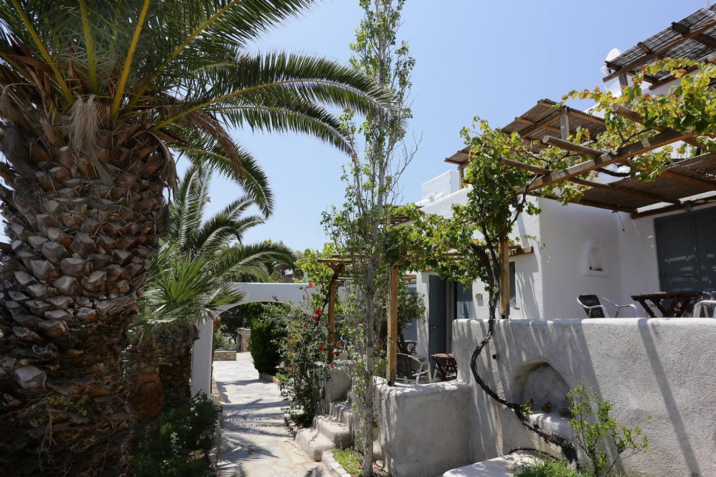 Hotel Albatros Club Mykonos Panormos  Zewnętrze zdjęcie